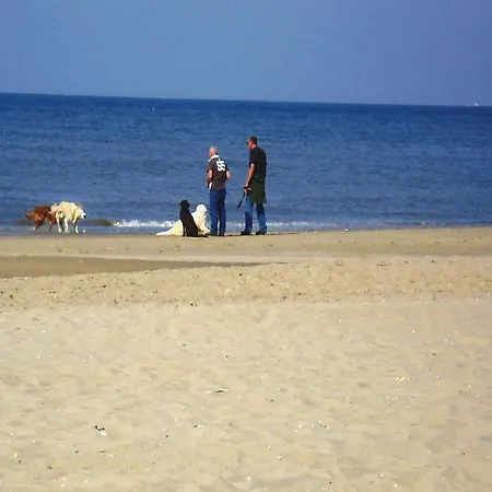 펜션 Duinpark De Witte Raaf Oester *